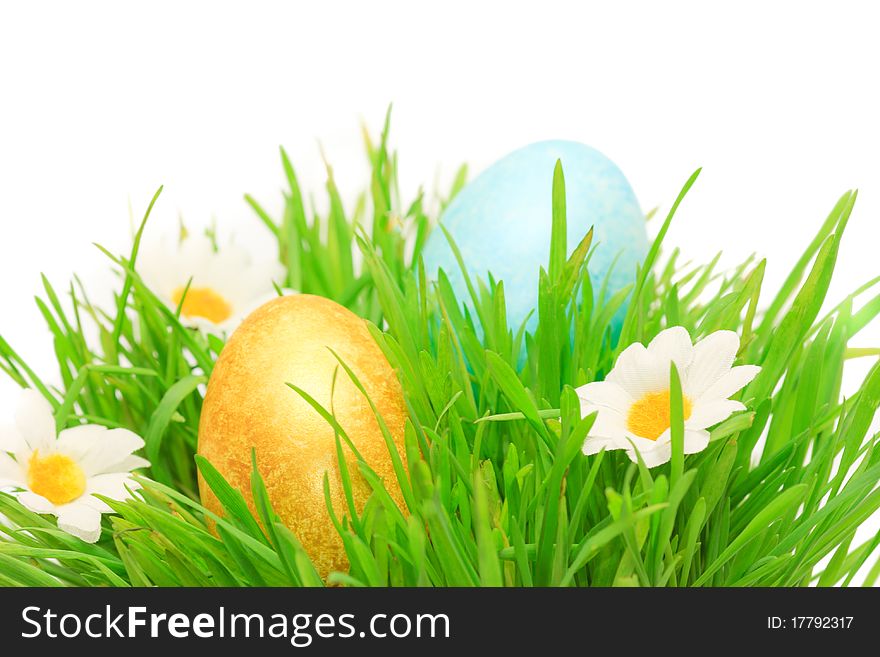 Easter eggs in green grass on white background