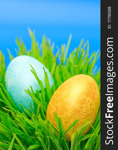 Easter eggs in green grass on blue background