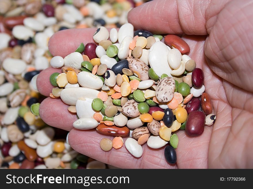 Colorful mixed dried beans held in hand. Colorful mixed dried beans held in hand