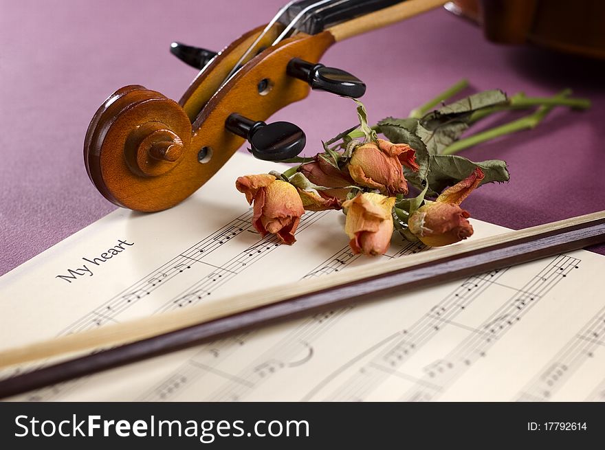 Sheet music, violin and dried roses. Sheet music, violin and dried roses