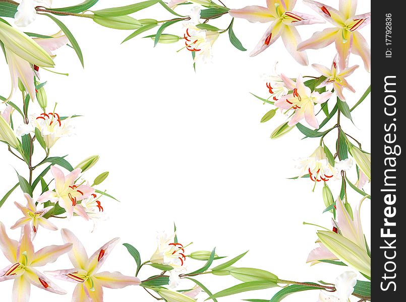 Lily vase in Birthday background