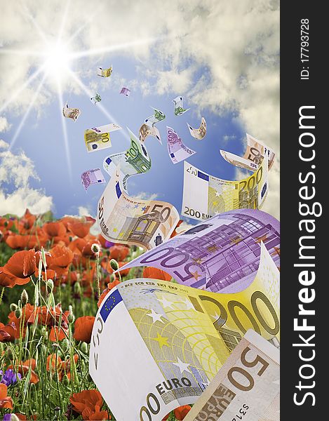 This image shows some banknotes flying over a field of poppies