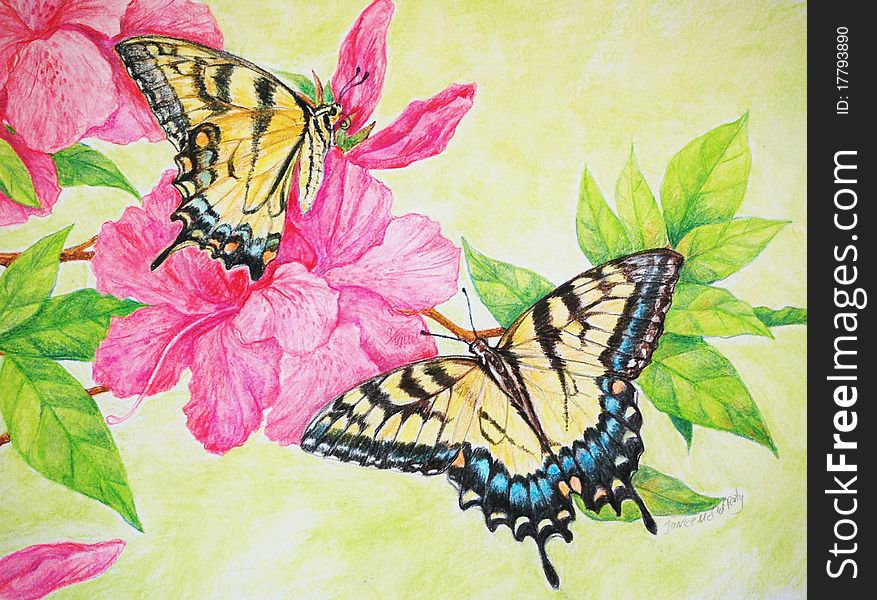 An original colored pencil drawing of Tiger Swallowtail butterflies in Pink Azaleas. An original colored pencil drawing of Tiger Swallowtail butterflies in Pink Azaleas.