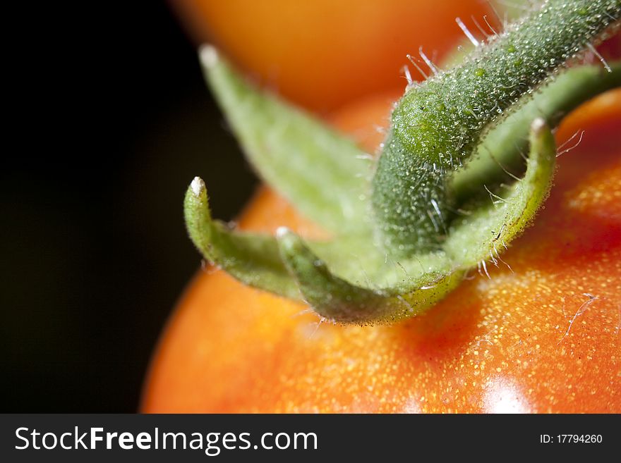 An extreme macro close up on a tomato ripening on it's vine. due to the extreme magnification, the depth of field is extremely shallow. An extreme macro close up on a tomato ripening on it's vine. due to the extreme magnification, the depth of field is extremely shallow.