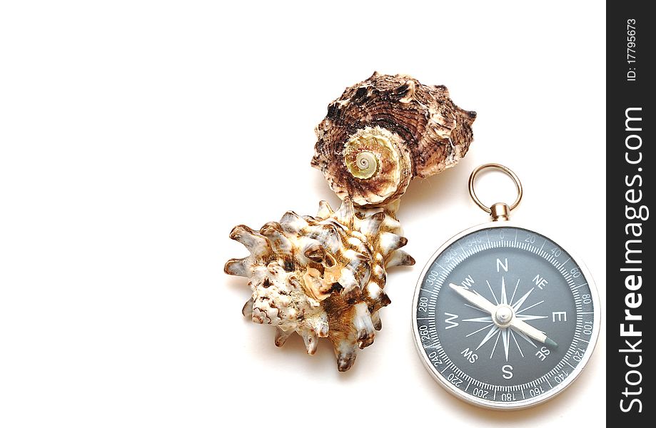 Compass And Seashell