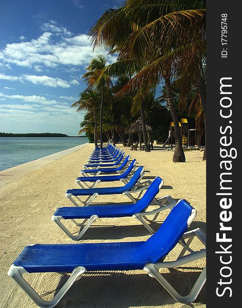Blue sun chairs on the beach. Blue sun chairs on the beach
