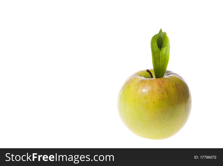 Green apple with green leaf