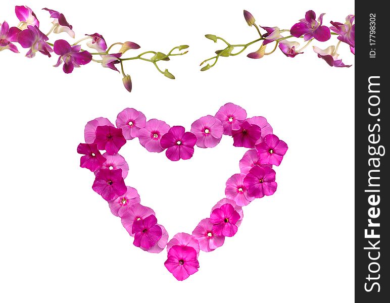 Heart-shaped pink floral frame on white background