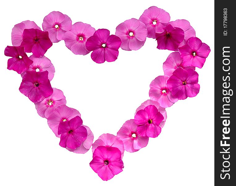 Heart-shaped pink floral frame on white background