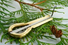 Jew S Harp Royalty Free Stock Photos Jew S Harp Royalty Free Stock Photos