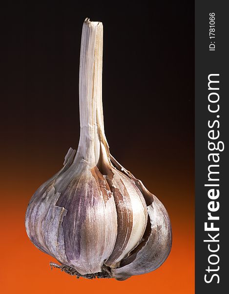 Ripe garlic on a dark orange background