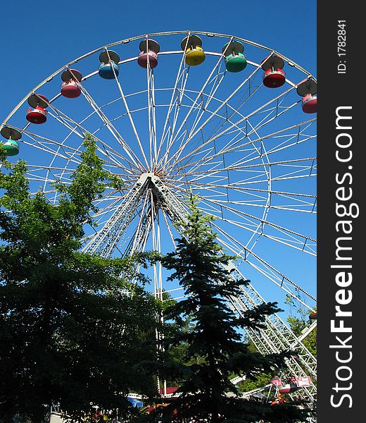 A Ferris wheel on a beautiful sunny day peeking out from behind some pine trees. A Ferris wheel on a beautiful sunny day peeking out from behind some pine trees