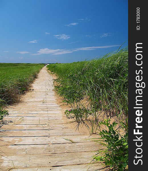 Wodden Path behind the dunes of a beach amdist tall grass. Wodden Path behind the dunes of a beach amdist tall grass.