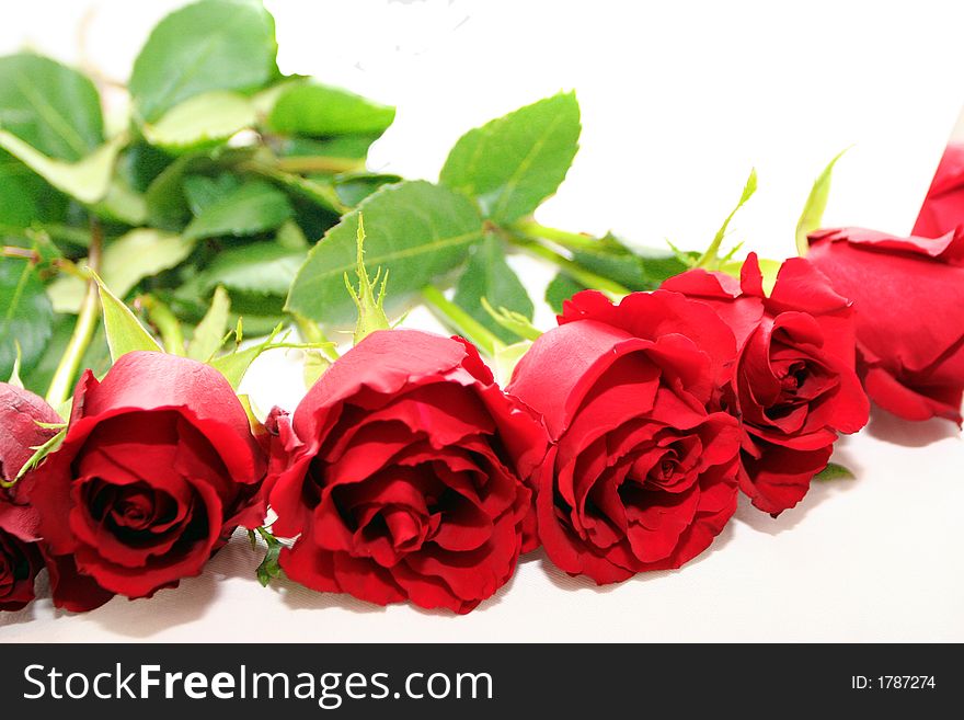 Close Up Of Red Roses