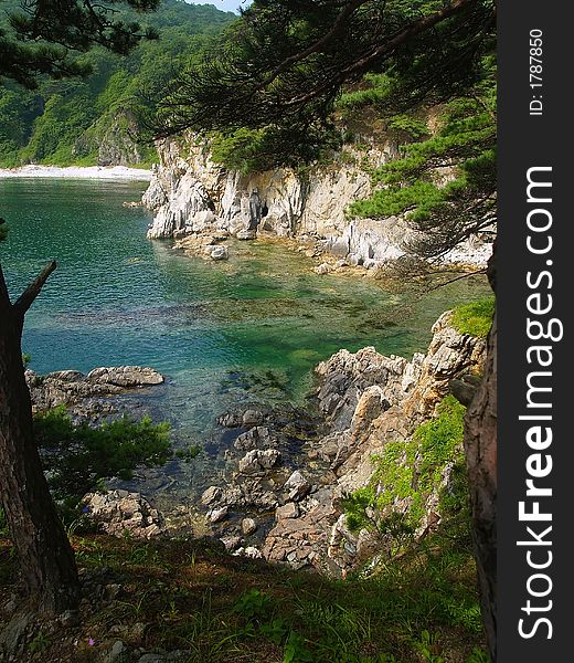 Beautiful sea landscape with korean pine  island and cove. Beautiful sea landscape with korean pine  island and cove