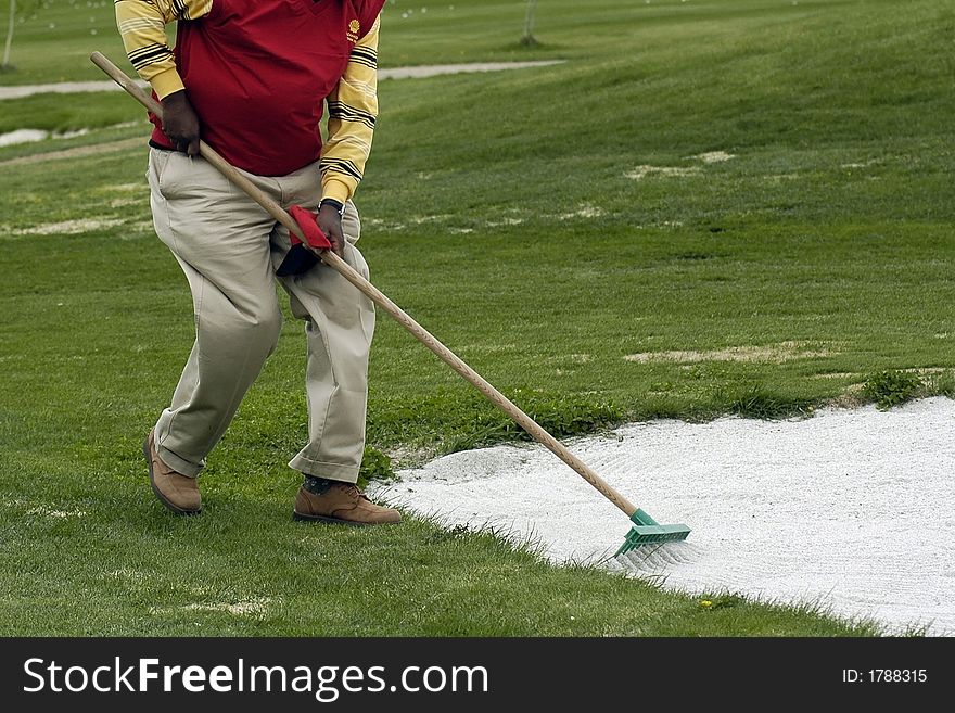 The golfer levels a raker sand