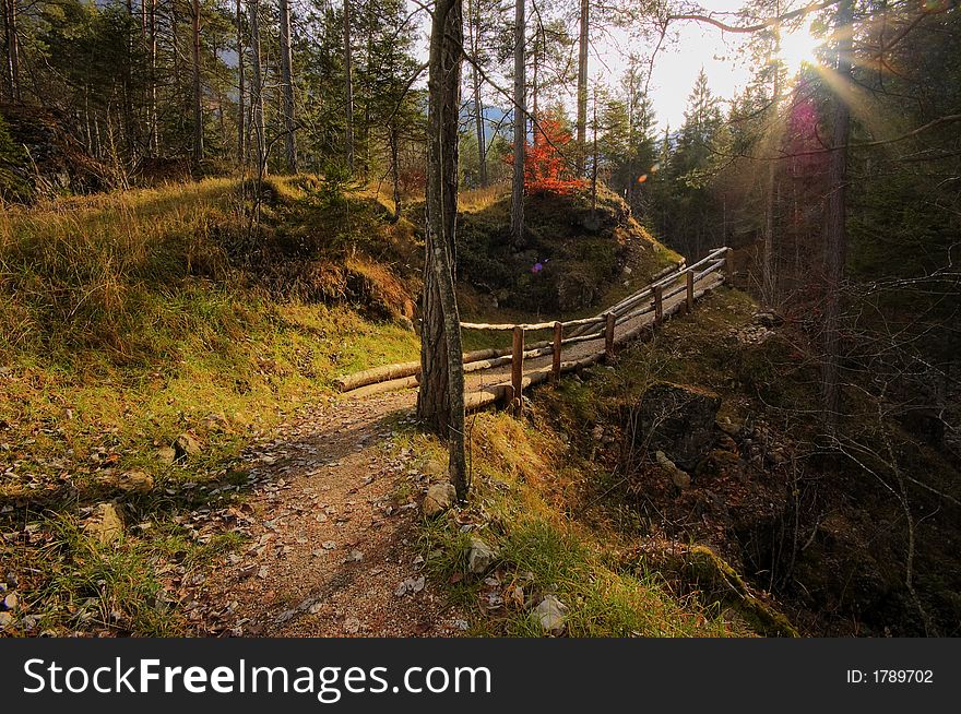 Magic autumn forest and wooden bridge in Nothern Italy. Magic autumn forest and wooden bridge in Nothern Italy