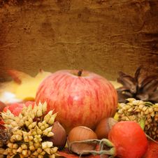 Autumn Leaves And Fruits. Vintage A Background Stock Image