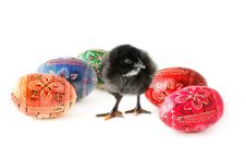 Easter Eggs And Baby Chicken Royalty Free Stock Photography Easter Eggs And Baby Chicken Royalty Free Stock Photography