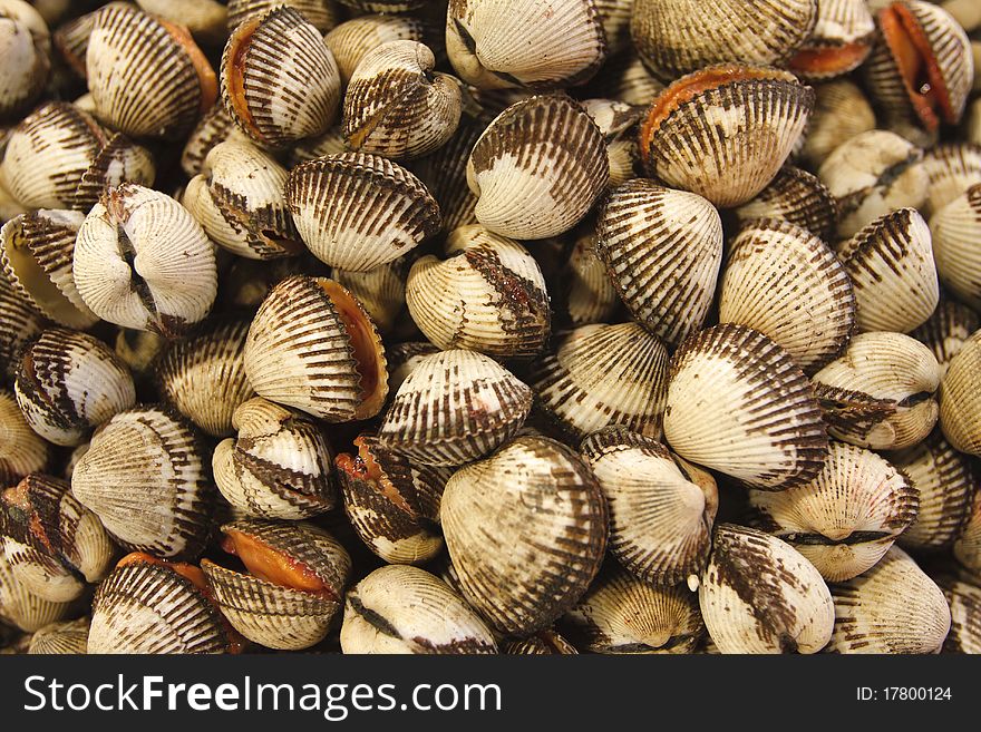 A pile of clams in a fish market. A pile of clams in a fish market