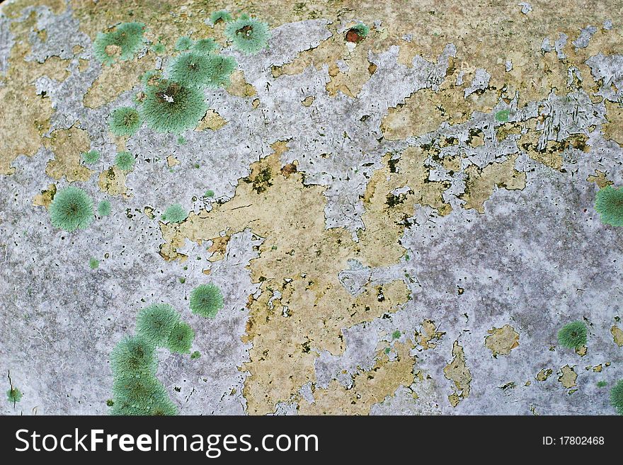 Decomposing paintwork on an abandoned broken down truck with lichen fungal and moss growth. Decomposing paintwork on an abandoned broken down truck with lichen fungal and moss growth