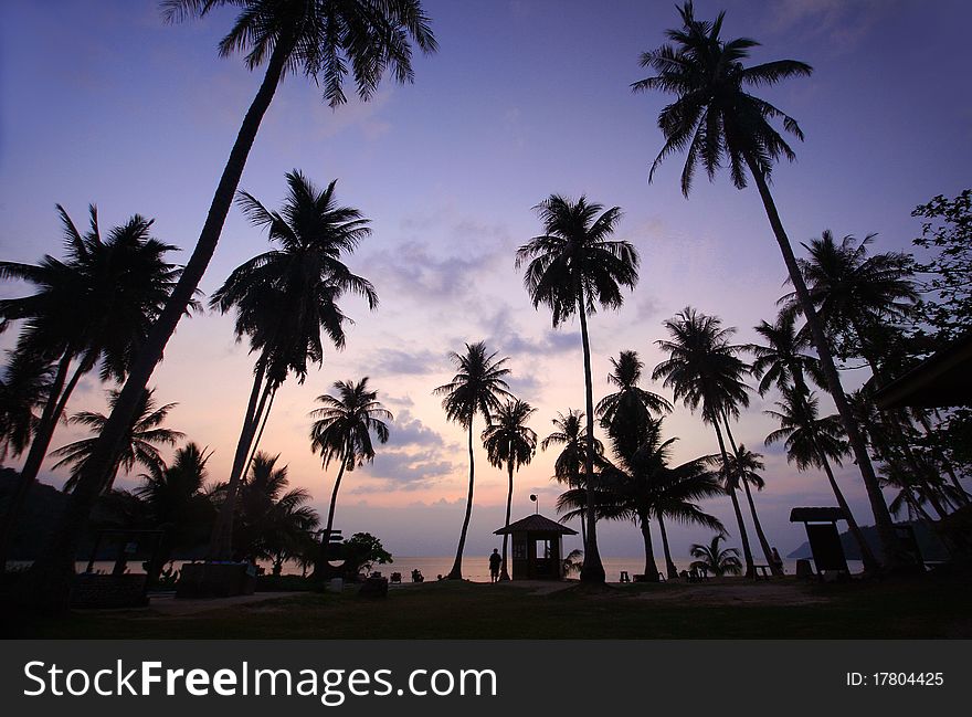 Coconut beach at sunrise