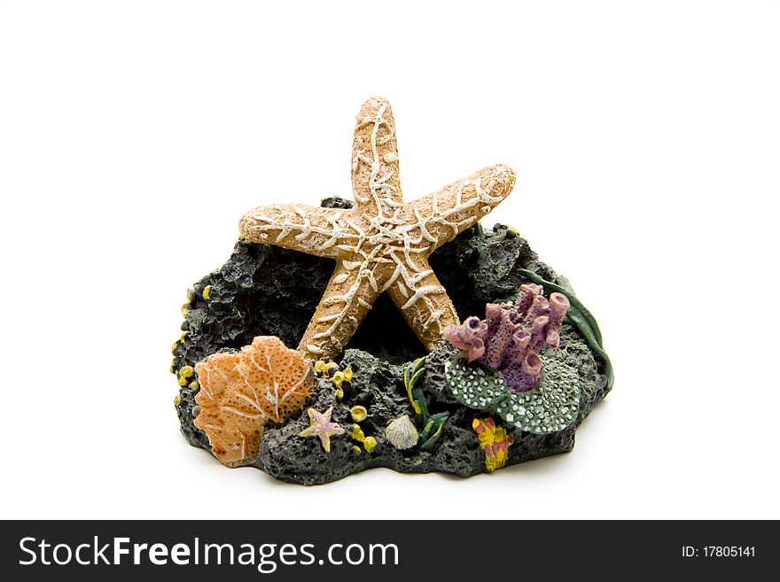 Sea Star And Coral