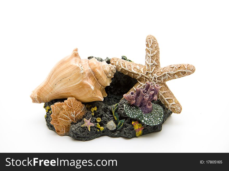 Sea star and mussel