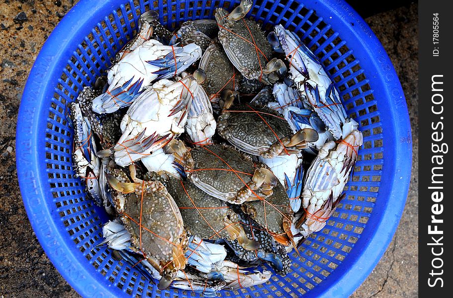 Crab seafood in thailand market