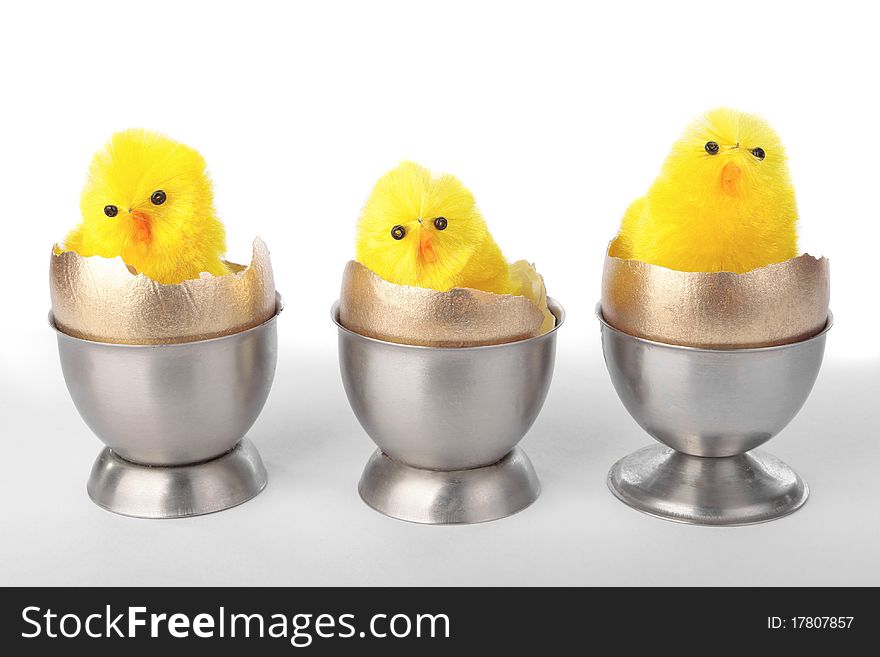 Easter chicks on egg cups over white background