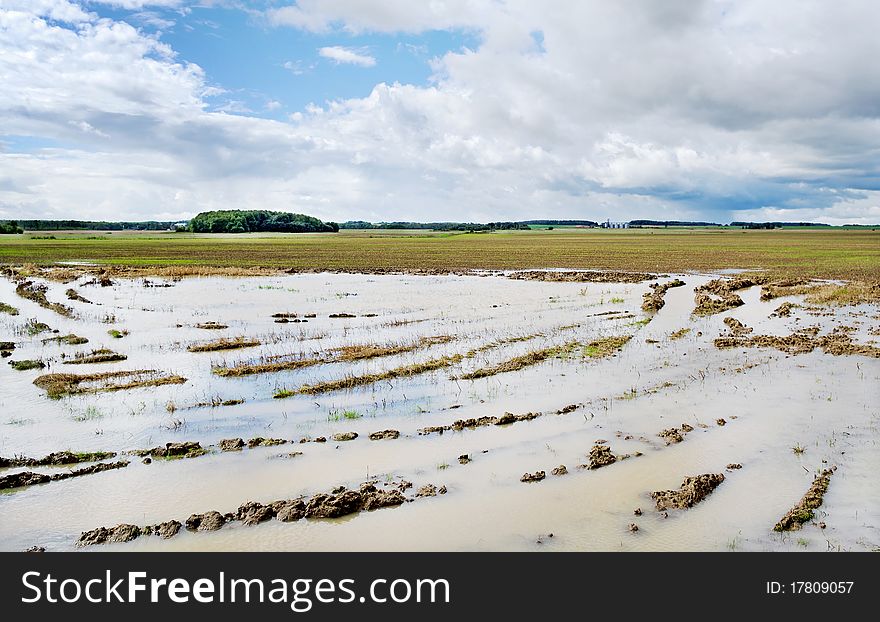 Puddle on the field.