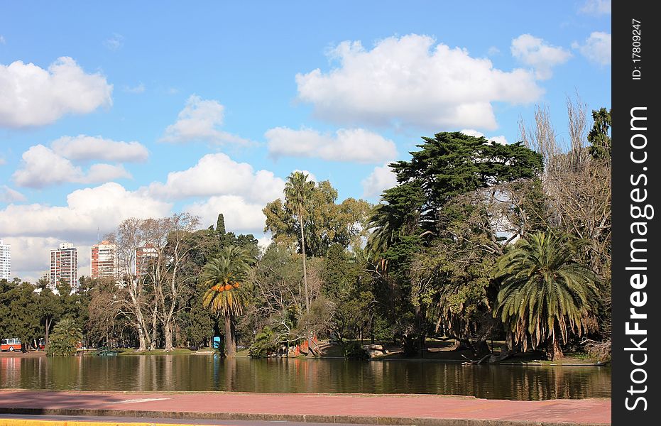 Tropical park with palm trees and a pond