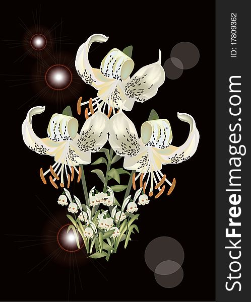 Light Lily Flowers On Black Illustration