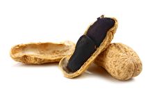 Black Peanut Stock Images Black Peanut Stock Images