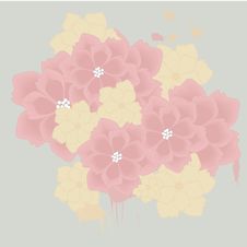 Flowers Bouquet Stock Image Flowers Bouquet Stock Image