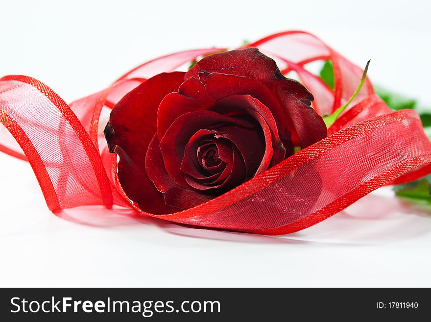 Red rose isolated on white background with red ribbon around it. Red rose isolated on white background with red ribbon around it.