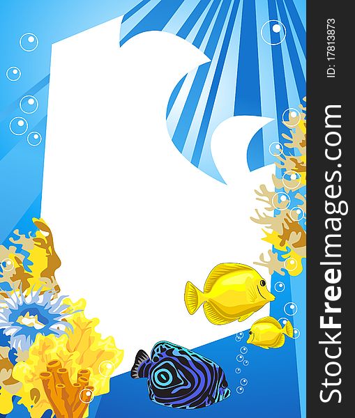 Tropical underwater scene with white space for text. Tropical underwater scene with white space for text