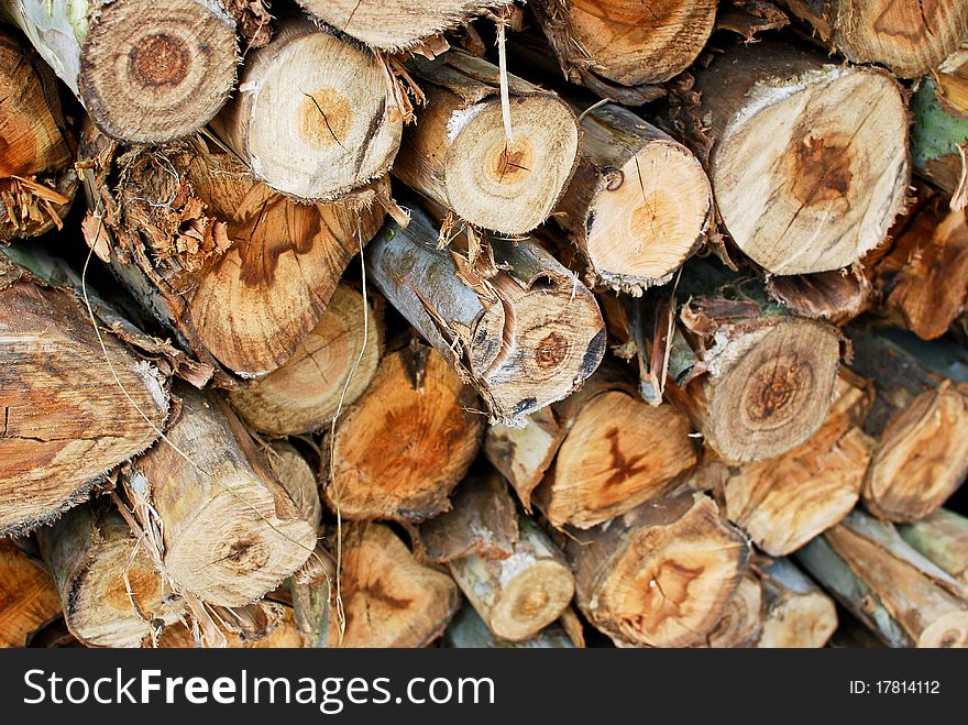 Pile of wood in logs storage closeup