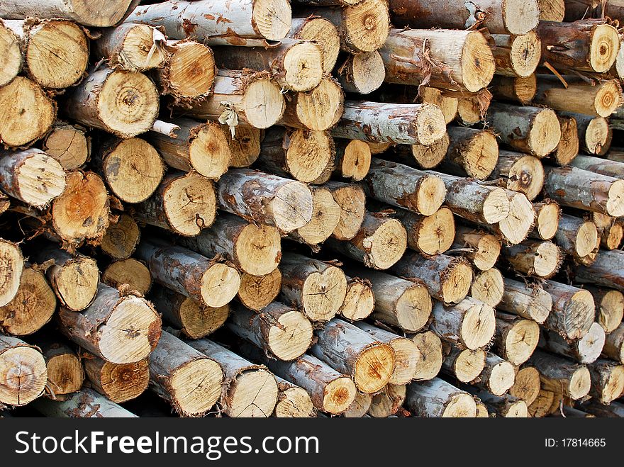 Pile of wood in logs storage