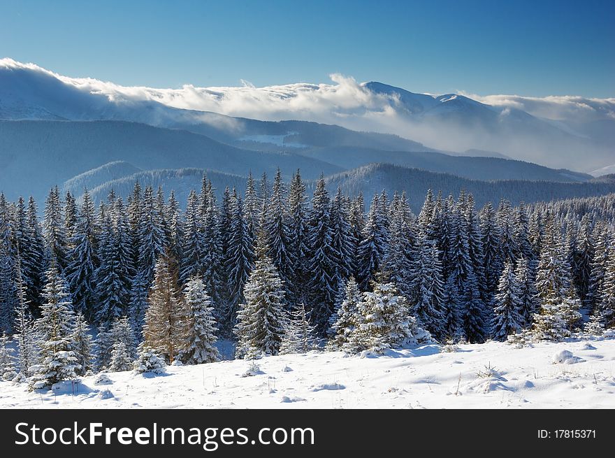 Winter landscape with snow in mountains Carpathians, Ukraine. Winter landscape with snow in mountains Carpathians, Ukraine