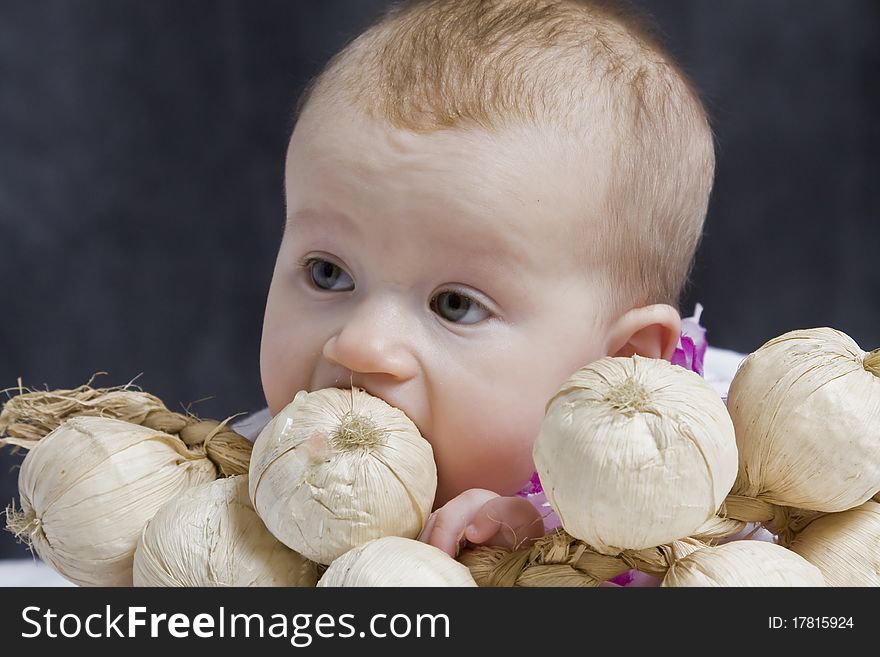 Six months old baby girl playing with garlics in studio. Six months old baby girl playing with garlics in studio