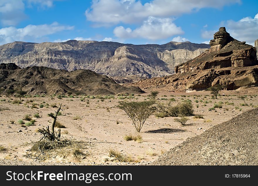 The shot was taken in Timna park - a famous geological park in Israel. The shot was taken in Timna park - a famous geological park in Israel