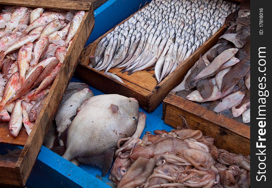 Fish at market in Morocco. Fish at market in Morocco