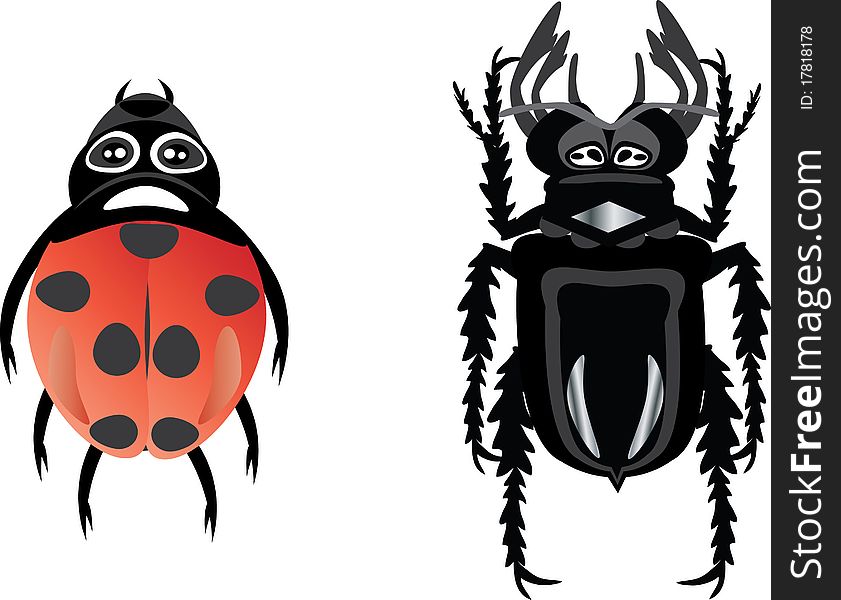 Ladybird beetle and stag beetle.Vector illustration. Ladybird beetle and stag beetle.Vector illustration.