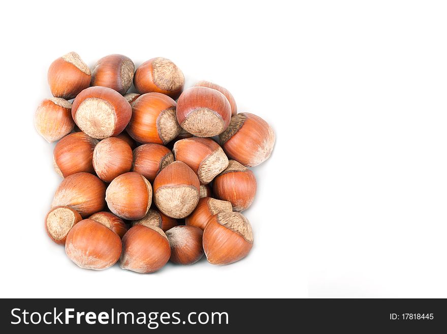 Small group Hazelnut lies on a plate on a white background. A shot horizontal, focus in the shot center