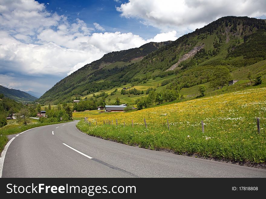 Flower Meadow In The Alps