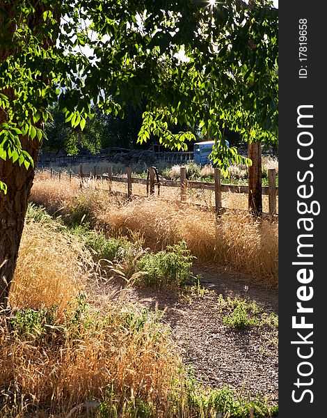 A little lane by a rustic fence in the golden light of a late summer afternoon. A little lane by a rustic fence in the golden light of a late summer afternoon.