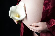 Pregnant Woman With Lily Stock Photos