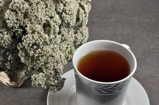 Yarrow Tea Stock Image Yarrow Tea Stock Image