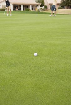 Golf Ball On The Green Royalty Free Stock Photos Golf Ball On The Green Royalty Free Stock Photos